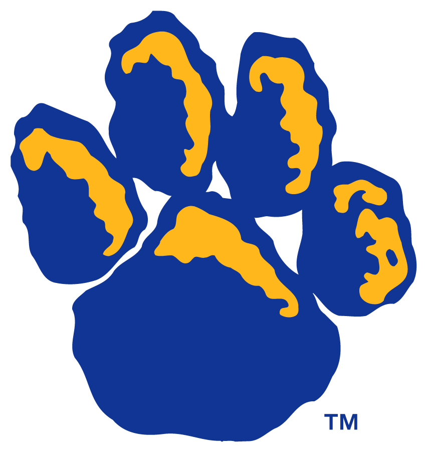 Pittsburgh Panthers 2019-Pres Secondary Logo v2 diy iron on heat transfer